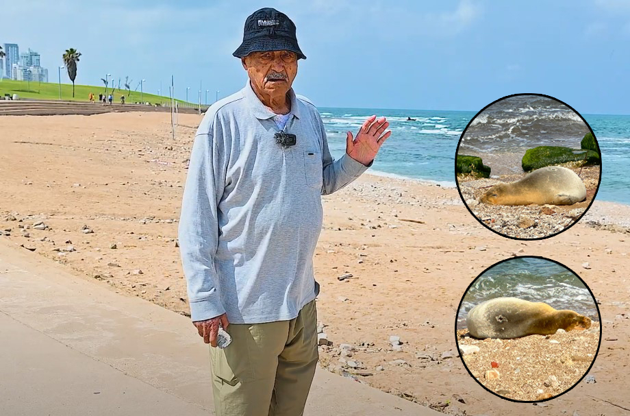 80 عاما عملت كبحار لم أر فقمة في بحرنا بحياتي